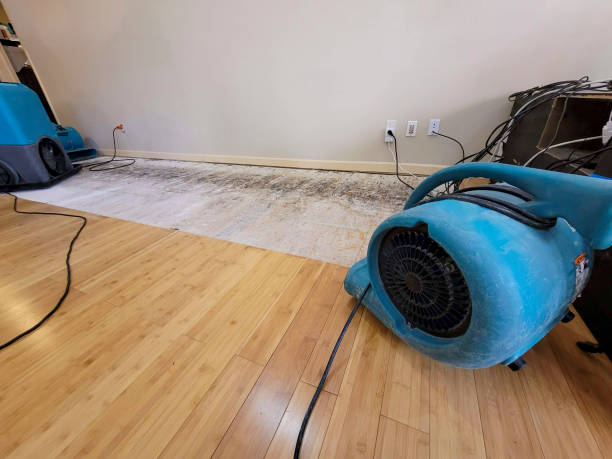Professional Emergency Water Damage technician working in Buckland, OH